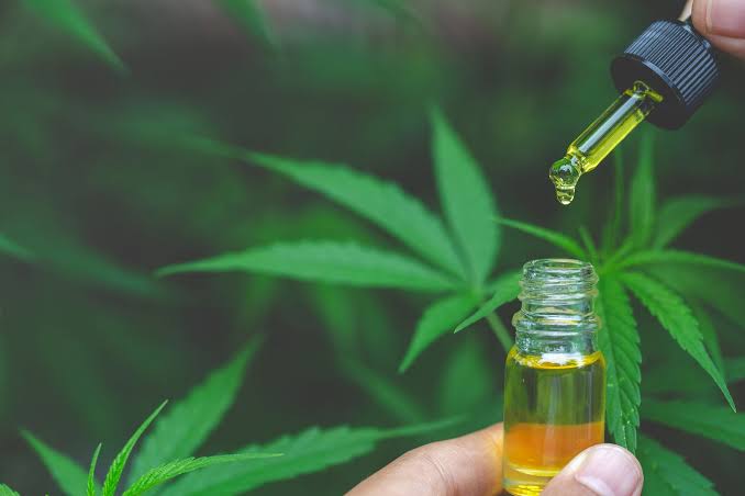 CBD Oil Cannabinoids